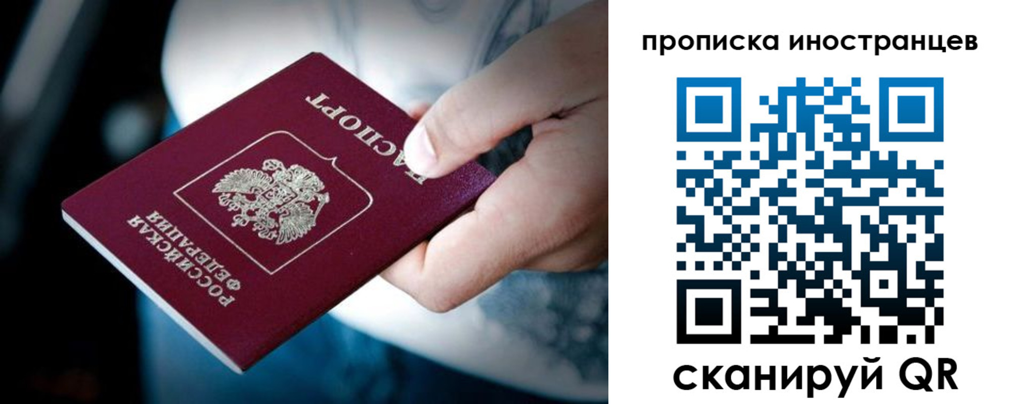 прописка для школы в Благодарном